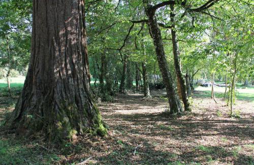 Manoir de Brillac - Luxury East Wing Gîte - Photo 28