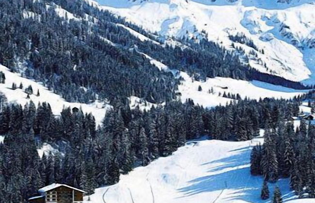 IFA Breitach Apartments Kleinwalsertal - Foto 52