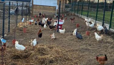 Chata Smarzewo - Foto 5