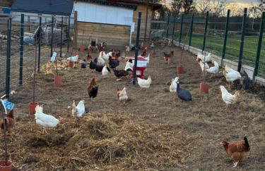 Chata Smarzewo - Foto 5