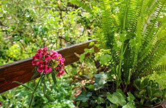 Faros oasis - Foto 7