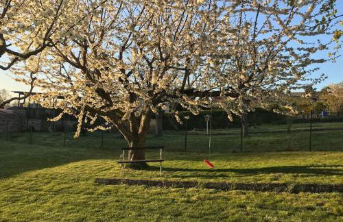 Ferienhaus Früh am See - Photo 25