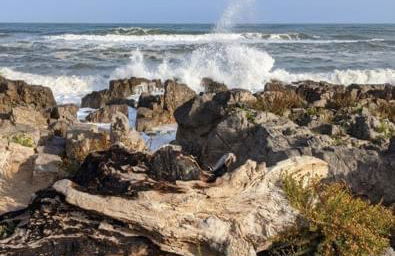 Vue imprenable sur mer- La perle de Saint Pierre La Mer - Foto 45