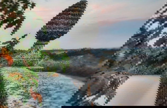 Castello di Serragiumenta - Foto 54