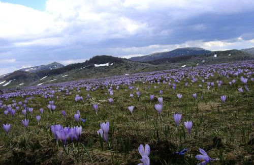 Azienda Agrituristica Colle San Giorgio - Foto 64