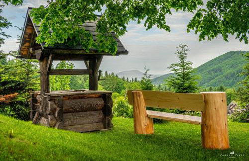 Lipowe Wzgórze Limanowa - Foto 86