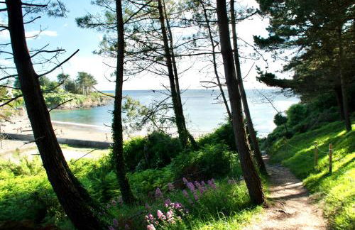 Gîte ti Goudoul éco responsable BB friendly - Foto 35