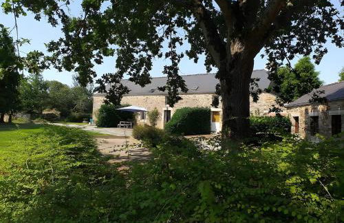 La Maison Neuve - Foto 13