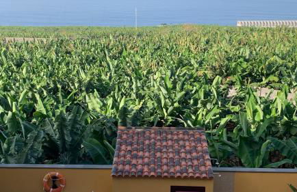 Apartamento Los Guirres - Foto 9