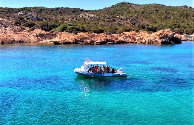 Observation de dauphins sur l'île de Figarolo - Photo 3
