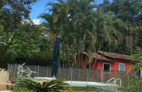 Sítio Espatódea - Foto 47