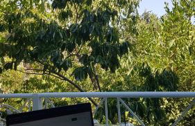 Sylvia's Village Home - Foto 21