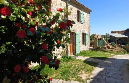 Le Logis du Vieux Donjon - Photo 1