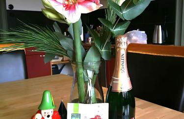 Ferienwohnung Oberförsterei Sosa I - Foto 9