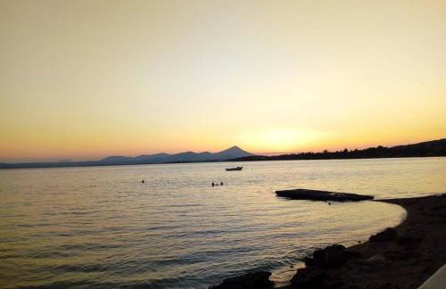 Seaside villa in Eretria - Photo 4