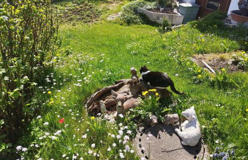 Ferienwohnung Höllisch - Foto 32