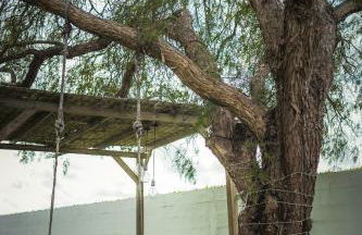 Olive Village - Foto 6