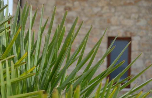 B&B Al Tramonto Portopalo - Foto 15