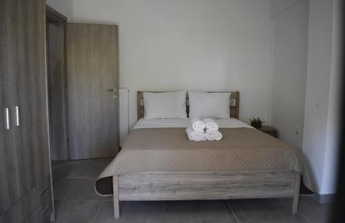 Irina's Apartment - Photo 18