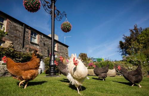 1 Bed in Tintagel oc-36928 - Foto 20