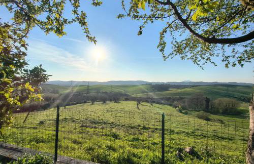 All'ombra del pino ALLOGGIO TURISTICO - Foto 14