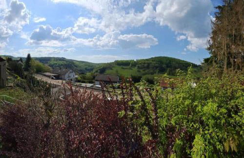 Platell Ferienhäuser Harz Wieda - Foto 34
