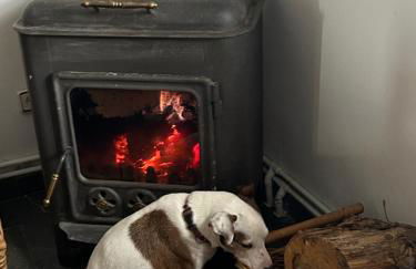 Villa Aurelia - Casa de campo con jardín y piscina entre Madrid y Segovia - Photo 59