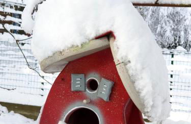 Gite en Alsace - Foto 42