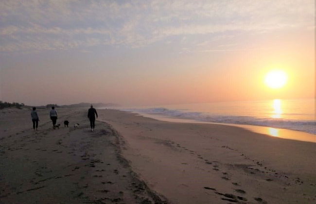 St Lucia Wilds - Foto 69