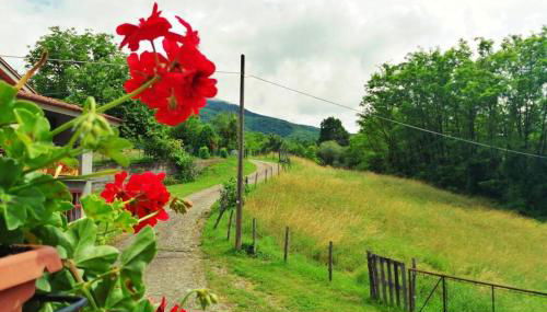 Casa di Anita - Foto 2