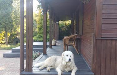 Domek w otulinie Wigierskiego Parku Narodowego - Foto 13