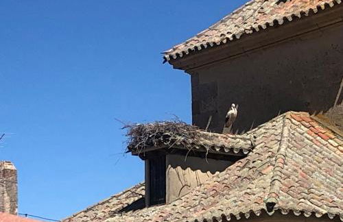 Alojamiento Museo Carmelitano Alba de Tormes - Foto 40
