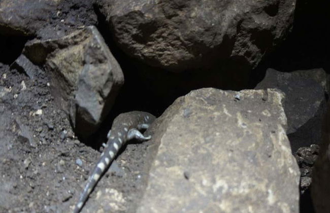 Caving in La Puente Cave - Foto 6