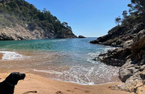 Pinzon, gezellige familievilla met groot zwembad. - Foto 76