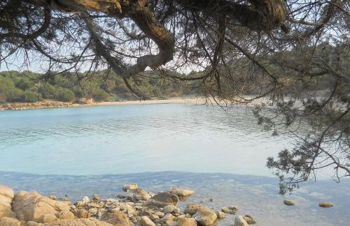 La Quercia della Gallura - Foto 28