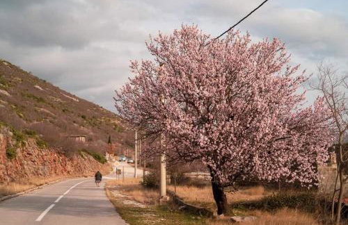 Apartman Milanko - Foto 60