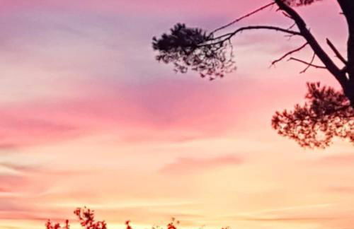 Casa Angelina Altopascio Lucca - Photo 12