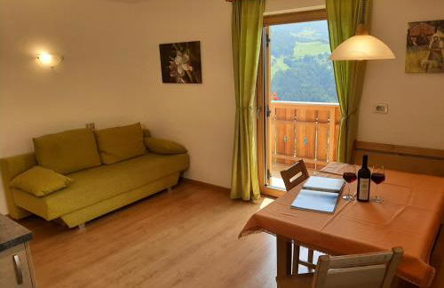 Ferienbauernhof Masunerhof - Foto 35