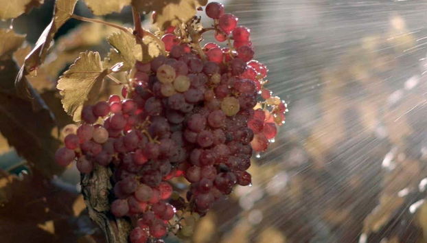 Tour in Algerri - Photo 2