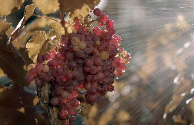 Tour in Algerri - Photo 2