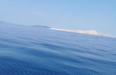 Apartments Jakov - Foto 38