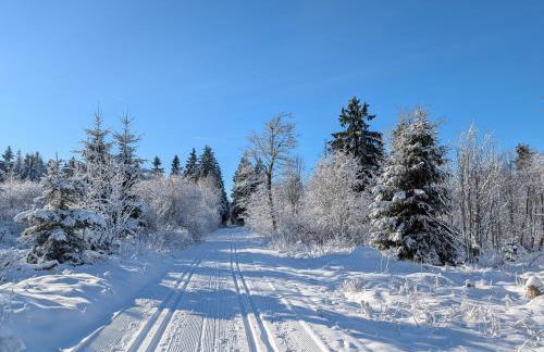 Ferienhaus Bärenloch - Foto 17