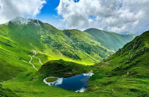 Casa Gugjet Cuore Carnico - appartamento Zoncolan - giardino - no scale - parcheggio e 4 zampe gratis - Foto 6