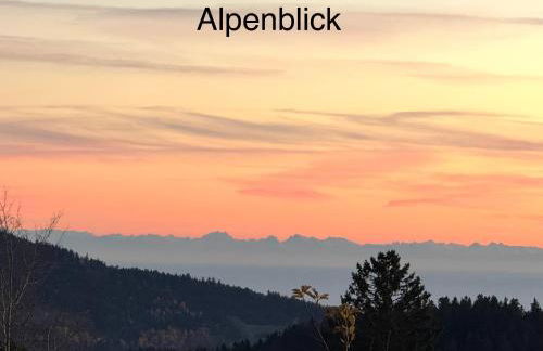 Ferienwohnung Schönblick inklusive Hallenbad, Sauna, Außenpool & Fitnessstudio, familienfreundlich ausgestattet - Foto 11