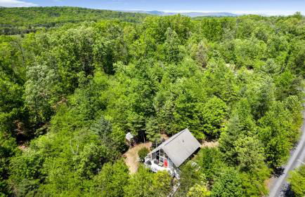 Mountain cabin w hot tub, fire pit & pet-friendly - Foto 33