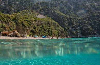 Petrino Minimal - Foto 58