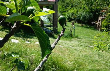 Garden Relax - Foto 10