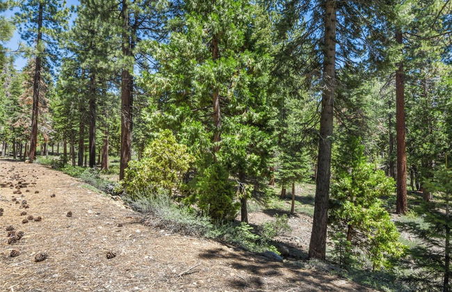 Brockway Manor - Foto 26