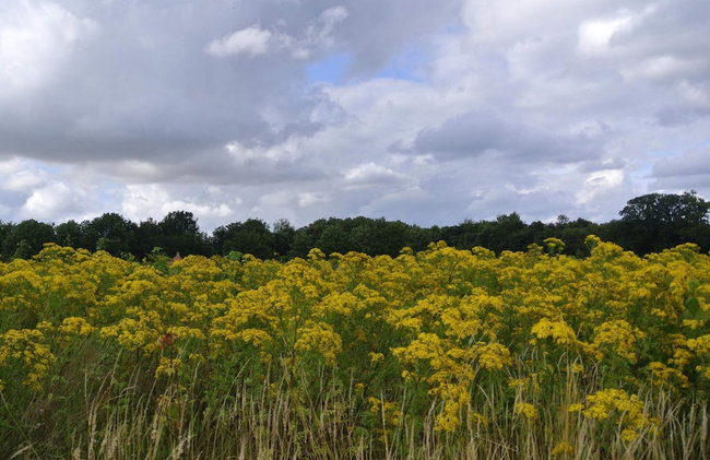 Luxury Retreat in Hejlsminde - By Traum - Foto 29