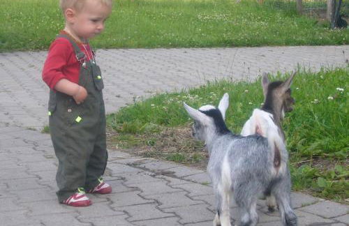 Ferienhof Schugg - Photo 44